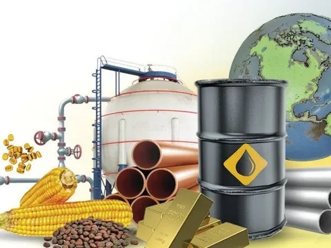 Thị trường ngày 11/11: Dầu tăng 2% trong khi vàng giảm 1%