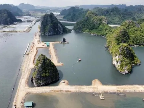 Bộ TN-MT lên tiếng vụ vùng đệm vịnh Hạ Long bị san lấp làm khu đô thị