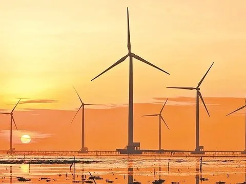 Nhóm năng lượng tái tạo rục rịch lên sàn: DN được trợ lực bởi EVN Finance vừa chào UPCom, BCG Energy cũng sửa soạn niêm yết với khối tài sản gần 20.000 tỷ