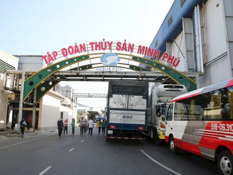 Vua tôm Minh Phú không kinh doanh bất động sản