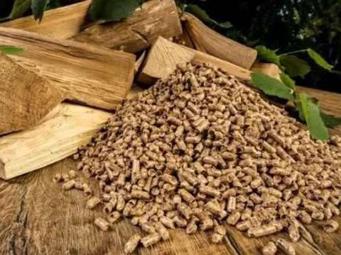 Việt Nam sở hữu “cây kim tiền” được Mỹ và Trung Quốc đua nhau mua hàng: Thu về gần 11 tỷ USD trong 10 tháng đầu năm, nước ta là “trùm” đứng thứ 5 thế giới