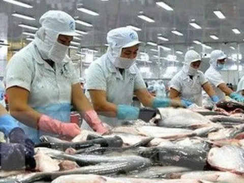 Xuất khẩu cá tra lấy lại đà tăng