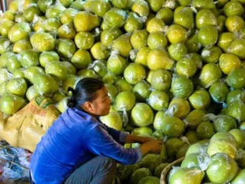 Được người Mỹ ưa chuộng hơn hàng 'made in China', loại quả 'bá vương' của Việt Nam làm mưa làm gió xứ cờ hoa, thu về hàng chục triệu USD