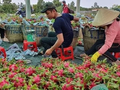 Xuất khẩu hàng hóa sang Trung Quốc tăng, đạt gần 50 tỷ USD