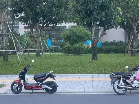 Nhân viên công ty công nghệ chết dưới sân chung cư ở Thủ Đức