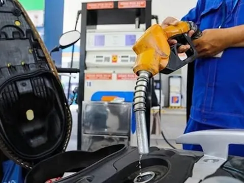 Giá xăng dầu đồng loạt giảm tại kỳ điều hành ngày 13/11