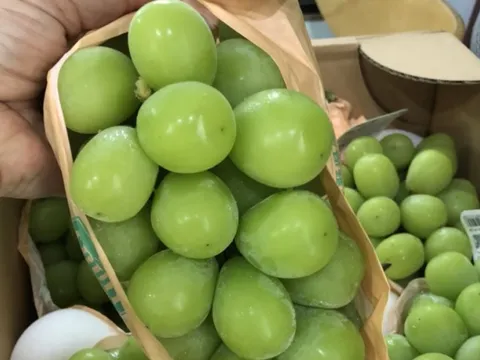 Lý do khiến lựu đỏ, nho mẫu đơn... ngày càng rẻ