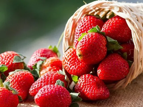 Ăn loại quả phố biến này có thể giúp giảm nguy cơ đãng trí tuổi già