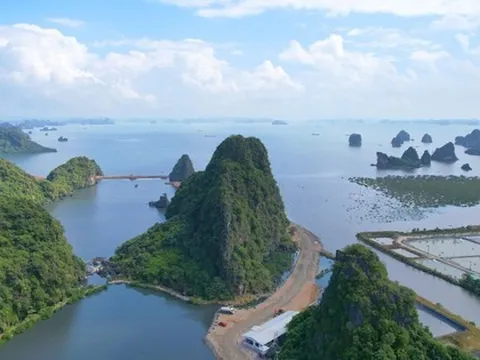 Cục trưởng Cục Di sản văn hóa lên tiếng vụ lấp vùng đệm vịnh Hạ Long làm biệt thự