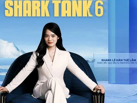 Quỹ đầu tư của 'cá mập' Lê Hàn Tuệ Lâm hoạt động thế nào?