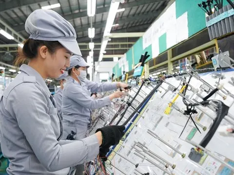 Ngành nào cần nhiều lao động nhất những tháng cuối năm?