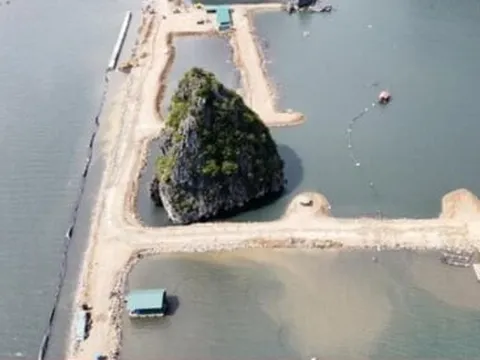 Bộ Xây dựng lập đoàn kiểm tra dự án ở vùng đệm Vịnh Hạ Long