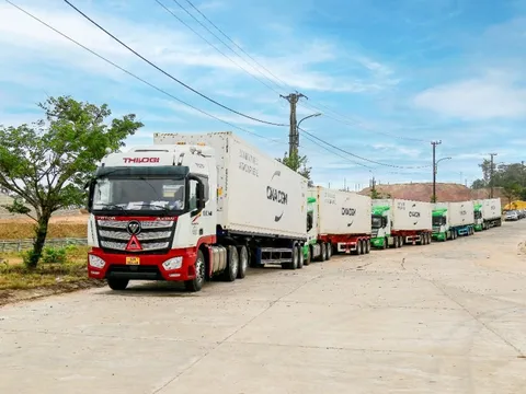 Logistics tăng sức cạnh tranh cho nông sản xuất khẩu