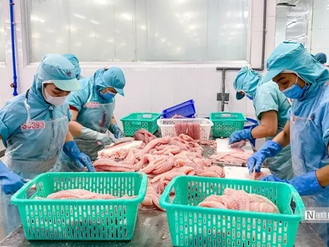 Doanh nghiệp thủy sản chìm trong màu buồn