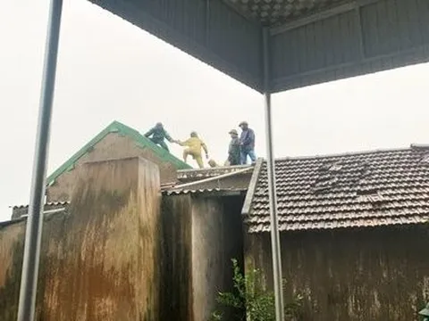 Lốc xoáy trong mưa lớn, hàng chục ngôi nhà bị tốc mái