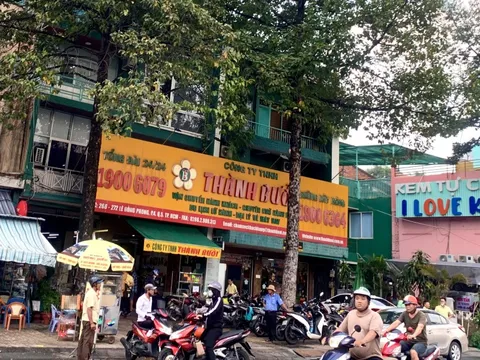 NÓNG: Công ty Thành Bưởi bị thu hồi giấy phép kinh doanh vận tải không thời hạn