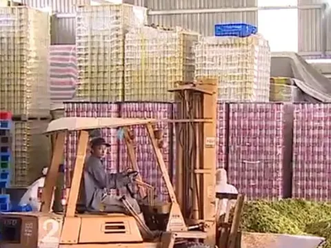 Nông sản kỳ vọng bứt phá dịp cuối năm