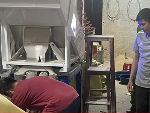 Sự thật bất ngờ về gạo Séng Cù xanh