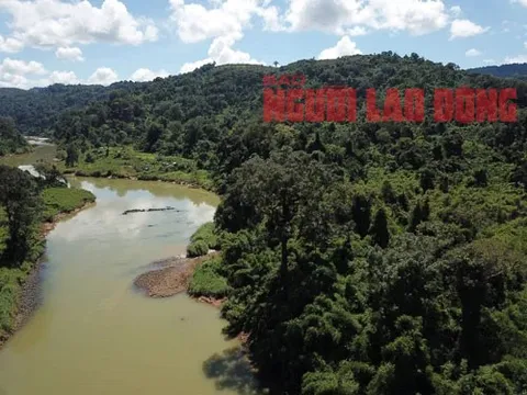 Bất an với 3 dự án thủy điện Đắk R’lấp (*): Cuộc gặp bất ngờ