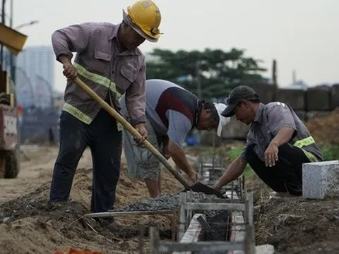 Cận cảnh thi công vườn hoa hướng dương cạnh bờ sông Sài Gòn