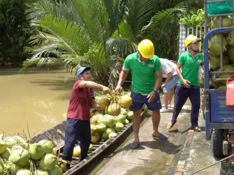 Fobers: Nông sản Việt Nam trở thành hàng tiêu dùng cao cấp mới tại Mỹ