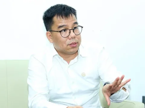 Phó Chủ tịch BCG: Công ty không có áp lực lớn về trái phiếu trong quý IV