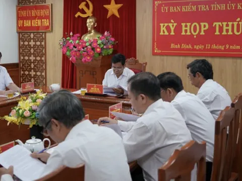 Kiểm điểm Ban cán sự đảng UBND Bình Định nhiệm kỳ 2011-2016 vì liên quan AIC