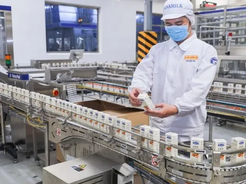 Kinh doanh tăng trưởng, doanh nghiệp sữa dư dả tiền gửi ngân hàng