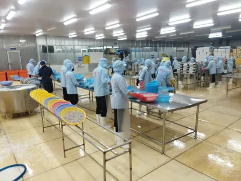Chuyển hướng hỗ trợ doanh nghiệp phục hồi