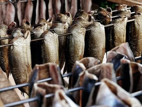 Được người Trung Quốc thừa nhận 'ăn đứt' hàng nội, cá tỷ đô của Việt Nam được hơn 2/3 thế giới săn đón, thu về hàng trăm triệu USD mỗi tháng