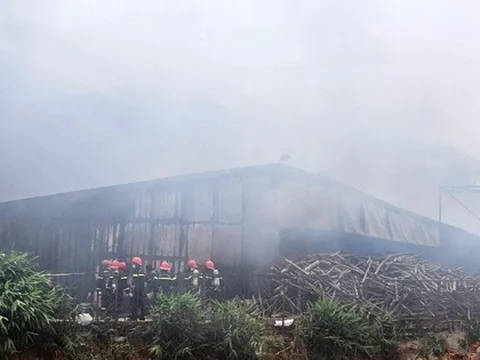 Cháy trang trại sản xuất nấm lớn nhất tỉnh Lâm Đồng
