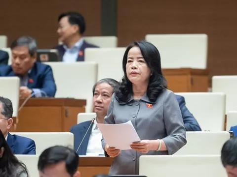 Chất vấn thời điểm xác định trị giá tài sản vụ án Vũ 'nhôm' và cựu Chủ tịch Đà Nẵng Trần Văn Minh