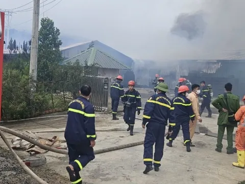 Lâm Đồng: Hỏa hoạn thiêu rụi cơ sở sản xuất nấm