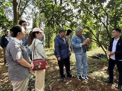 Giải pháp nào giúp nông nghiệp, du lịch tỉnh Đắk Nông phát triển?