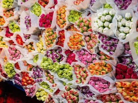 Giá hoa 20/11 tăng mạnh, nhiều cửa hàng vắng khách