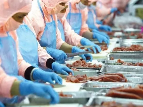 Trung Quốc tiếp tục là "điểm sáng" cho xuất khẩu thủy sản của Việt Nam