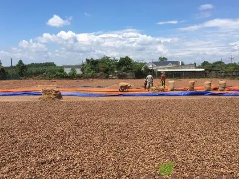 'Cứu tinh' từ Campuchia giúp Việt Nam thống trị toàn cầu ngành hàng này: Xuất khẩu thu gần 4 tỷ USD, người Mỹ ngày càng ưa chuộng