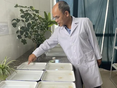 Số ca sốt xuất huyết vẫn ở mức cao: Có hay không muỗi sinh sôi phá quy luật?