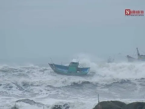 Tàu cá Bình Thuận bị tàu vận tải đâm chìm, một ngư dân đang mất tích