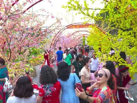 Bình Thuận sẽ tổ chức Đường hoa Xuân Giáp Thìn 2024 tại Tp.Phan Thiết