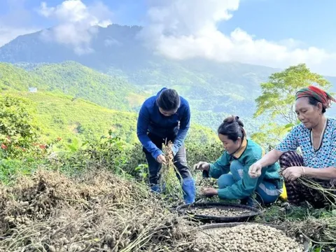 Mạnh dạn chuyển đổi cây trồng vật nuôi để thoát nghèo ở miền núi xứ Nghệ