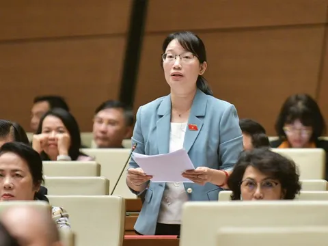 ĐBQH Trần Thị Diệu Thuý: Phần lớn công nhân chọn phương án 1 về rút BHXH một lần