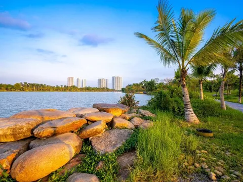 Những bước tiên phong của các doanh nghiệp đầu ngành trong làn sóng dịch chuyển kinh tế từ “nâu” sang “xanh”