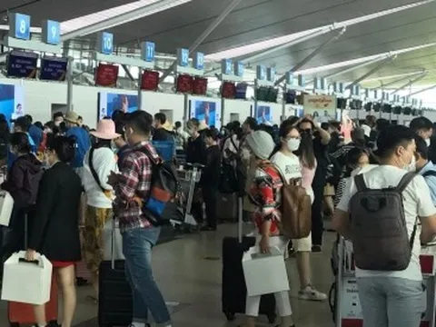 Chưa đến Tết, giá vé máy bay “nhấp nhổm” tăng cao