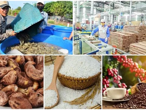 Xuất khẩu dần phục hồi, WB khuyến nghị tiếp tục hỗ trợ nền kinh tế