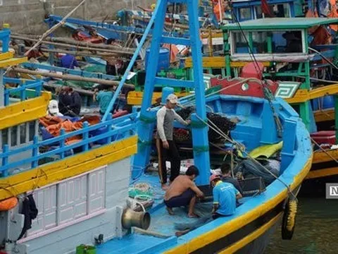 Bình Thuận: Truy tìm tàu vận tải đâm tàu cá khiến một người mất tích