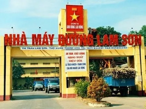 Lasuco kinh doanh khởi sắc trong quý đầu năm tài chính 2023-2024