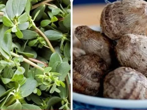 2 loại rau 'sống thọ' được thế giới ca tụng có ở Việt Nam nhưng không ai biết