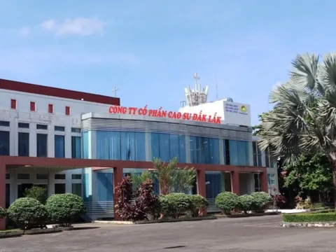 Công ty CP Cao su Đắk Lắk nợ thuế, người lao động, phúc lợi 162 tỷ