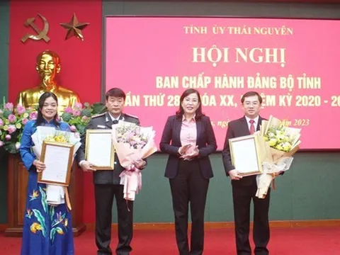 Ban Bí thư Trung ương Đảng chỉ định, chuẩn y nhân sự 3 tỉnh